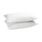 Zippered Waterproof Pillow Covers for Bed Bugs/Dust Mites, Multi-pack 20" x 30"